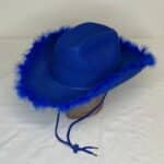 Blue Feather Cowboy Hat