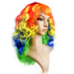 Rainbow Wig